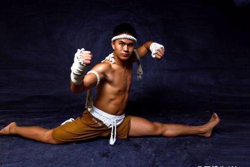 中国功夫演员,中国功夫演员的传奇人生